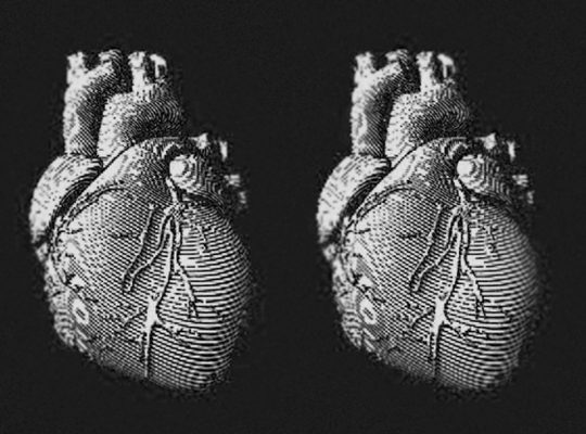 tai tao tim nguoi tu hai quy bien