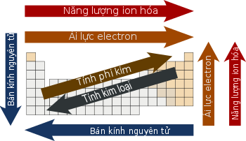 Bảng tuần hoàn – Wikipedia tiếng Việt