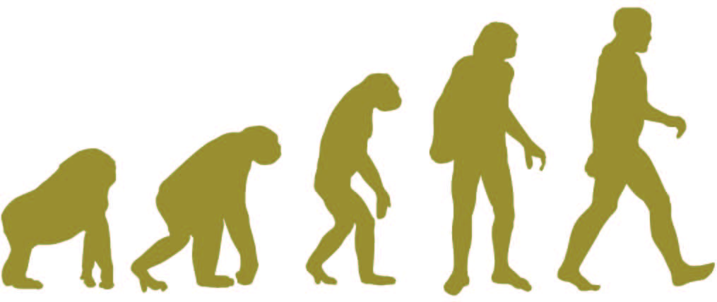 Nhân năm khỉ: Tinh tinh tiến hóa thành người?
