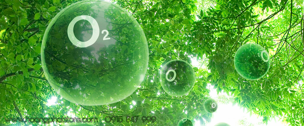 36+ câu hỏi đến Hoàng Phát về khí Oxi ( Oxy) ( Phần 1)