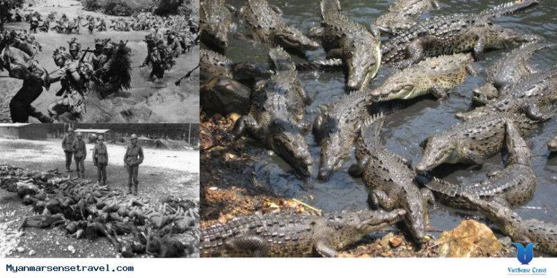 Đến Thăm Hòn Đảo Tử Thần Ramree Ở Myanmar - Ảnh 2