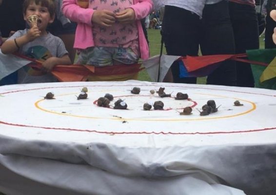 [Video] An tuong cuoc dua 'toc do' oc sen the gioi tai Anh hinh anh 1